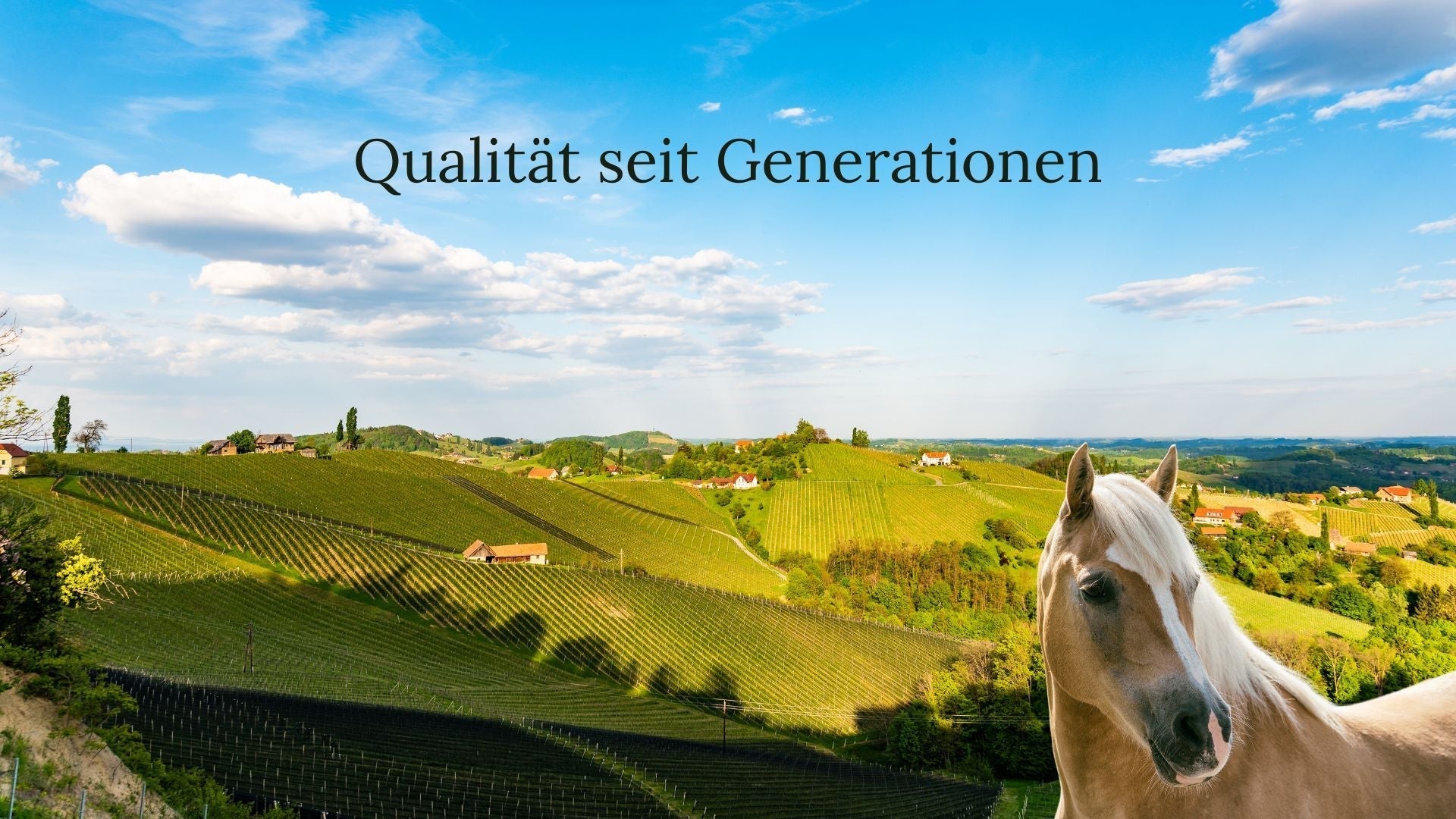 Die Geschichte