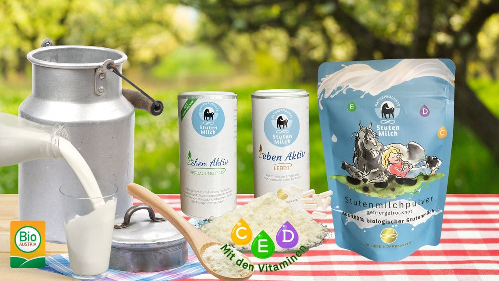 Stutenmilch Pulver und Kapseln