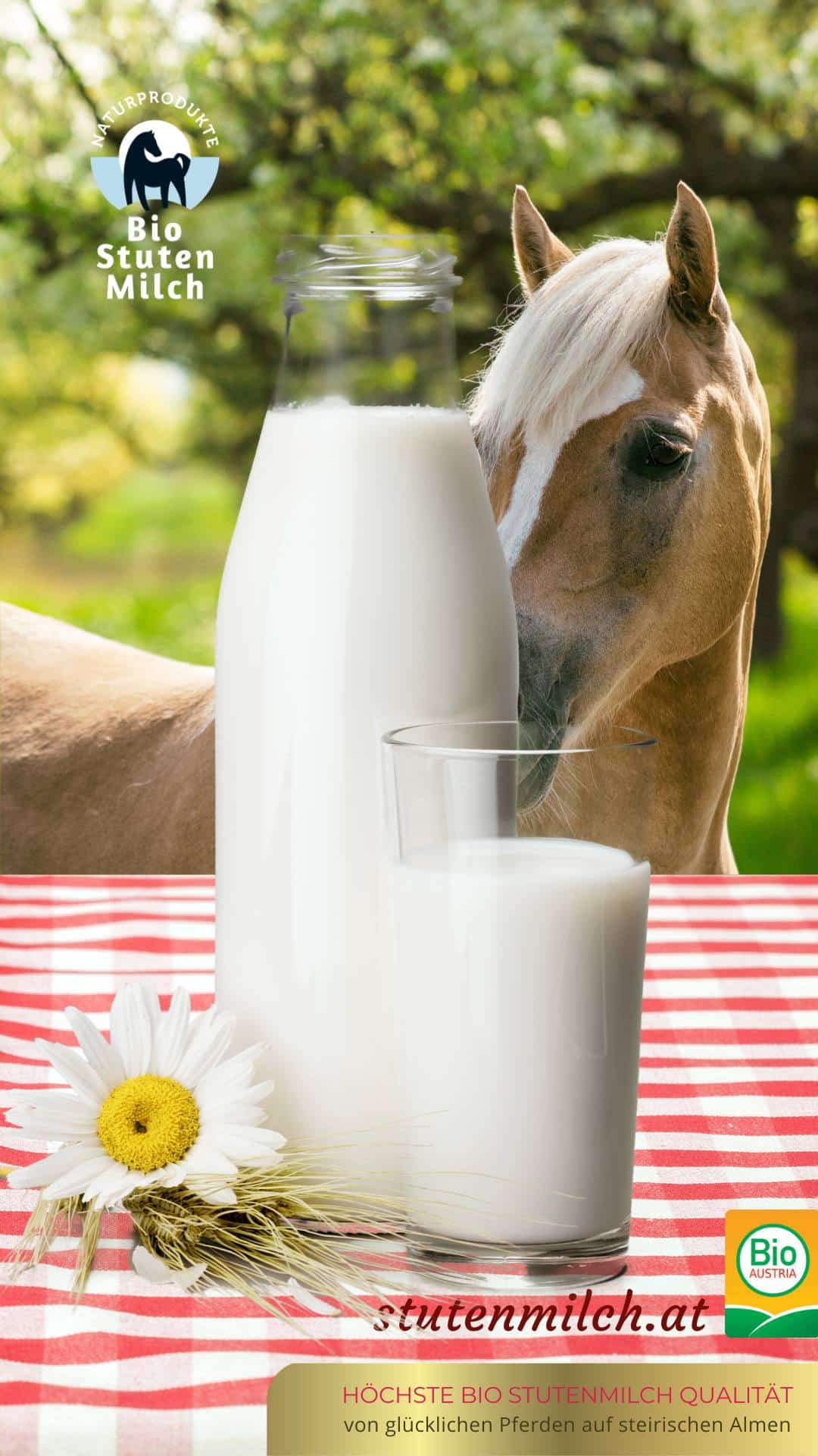 Bio-Stutenmilch Trinkkur – Frisch & Tiefgefroren | Stutenmilch.at