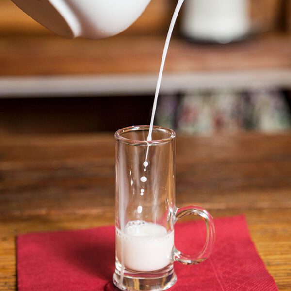 Produkt Bio Stutenmilch frisch, Trinkkur, Stutenmilch im Glas